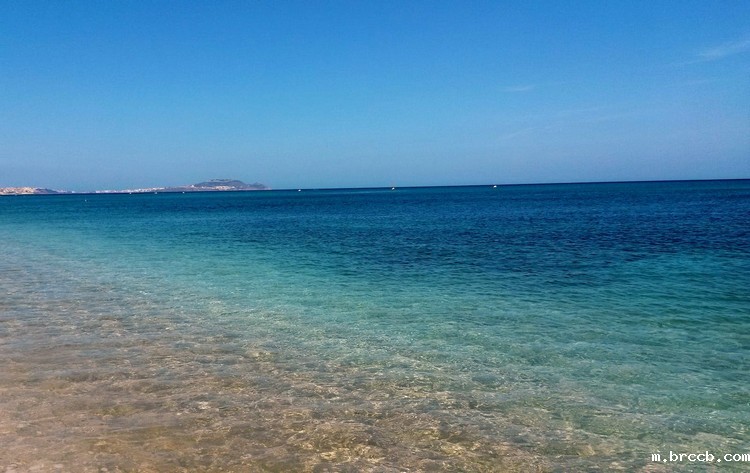 总氮测定仪 总氮测定仪