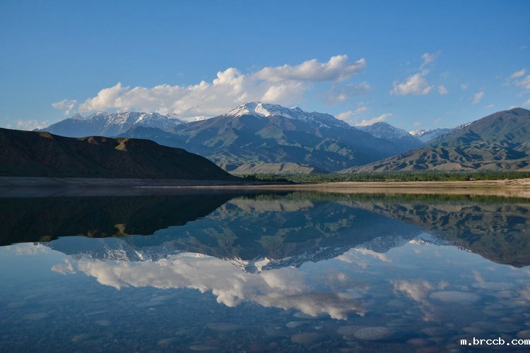 便携式精密浊度仪 便携式精密浊度仪