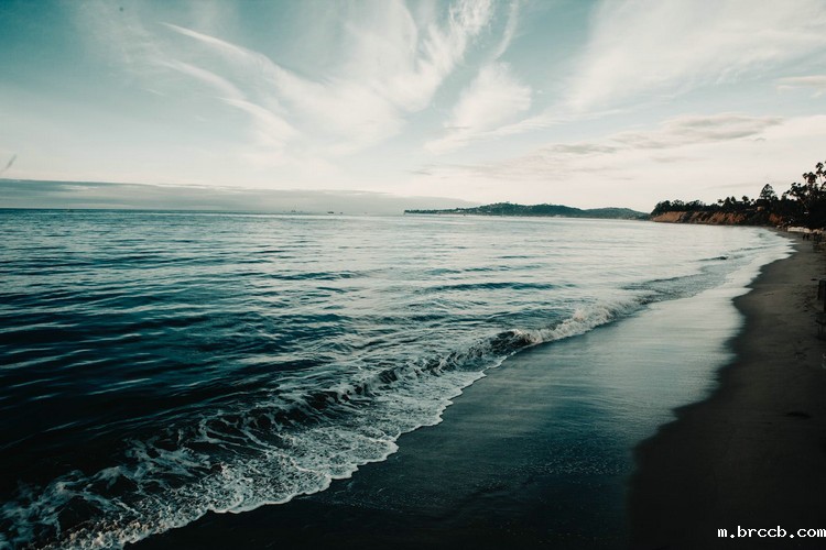 1667006150689532.jpeg COD检测 (103).jpeg