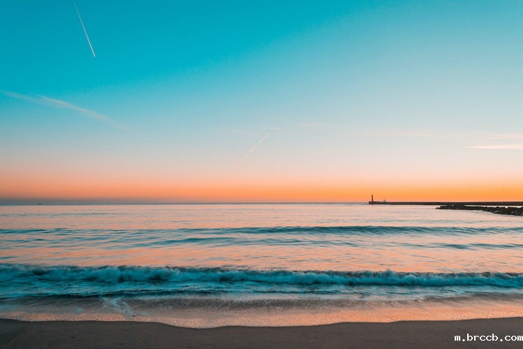 cod测定仪 cod测定仪