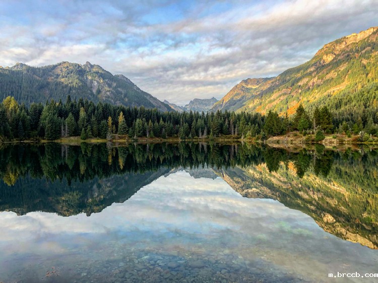 COD测定仪 COD测定仪