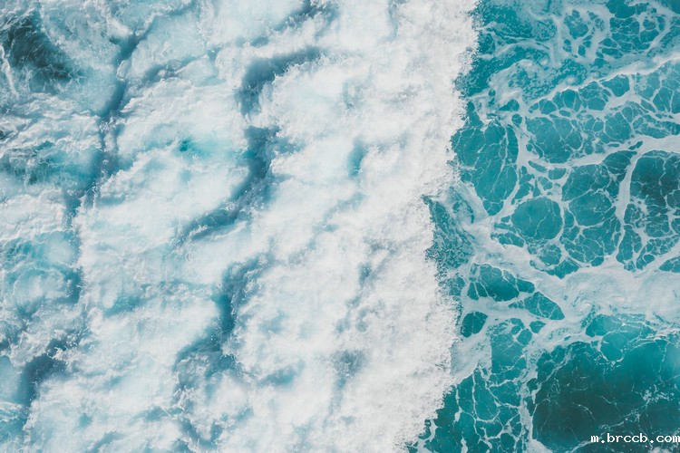 COD检测仪 COD检测仪