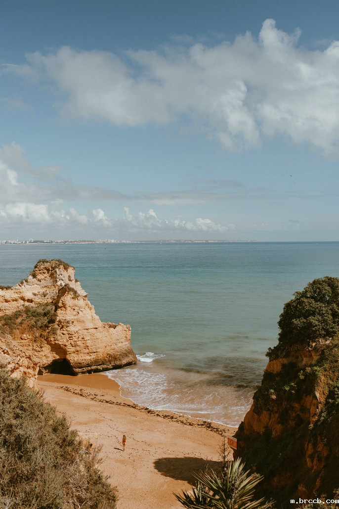 COD消解器 COD消解器