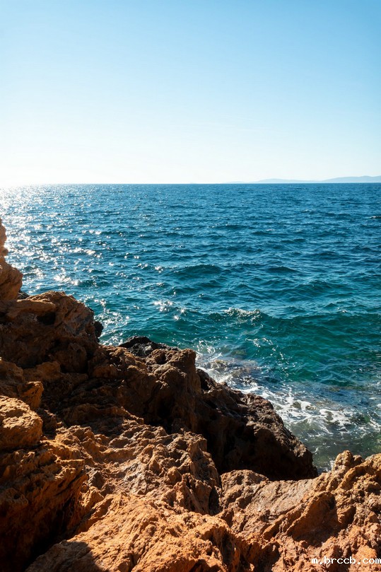 水质重金属检测仪 水质重金属检测仪