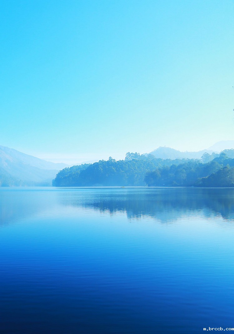 COD测定仪 COD测定仪