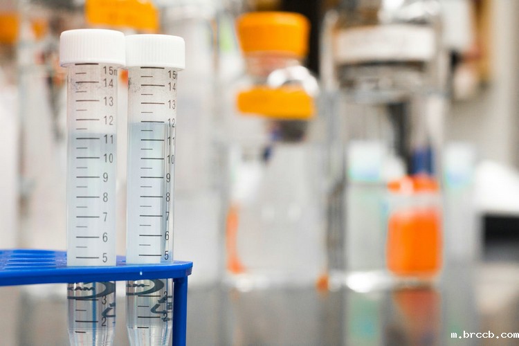 试剂的有效期 试剂的有效期