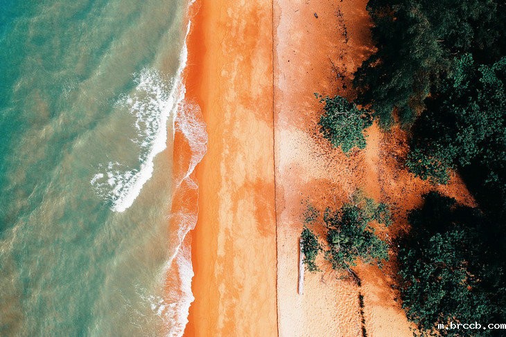 在线高精度浊度仪 在线高精度浊度仪