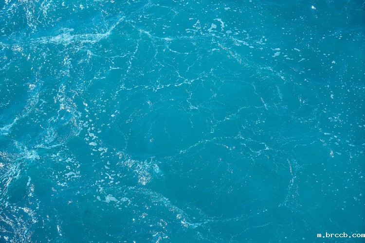 余氯分析仪 余氯分析仪