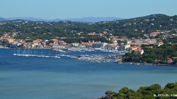 余氯(总氯)测定仪 余氯(总氯)测定仪