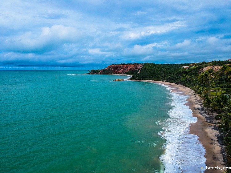 浊度分析仪 浊度分析仪