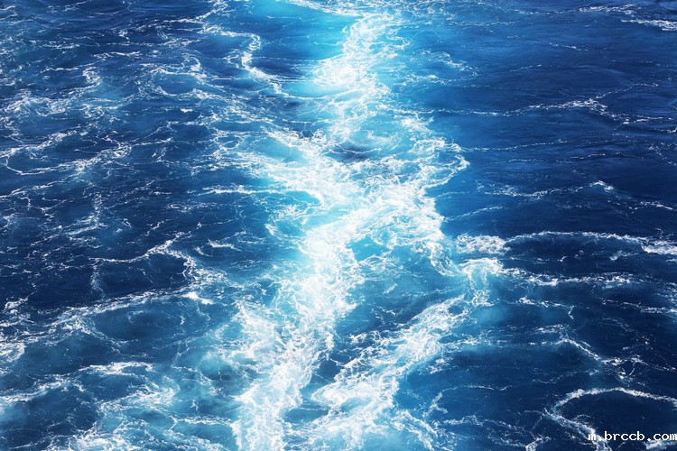 台式浊度检测分析仪 台式浊度检测分析仪