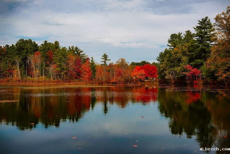 在线余氯仪 在线余氯仪