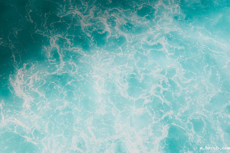 浊度在线分析仪 浊度在线分析仪