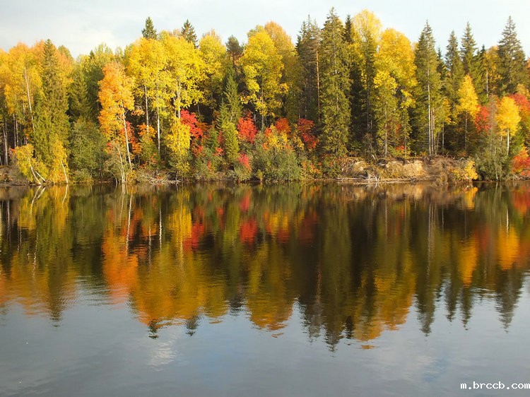 COD测定仪 COD测定仪