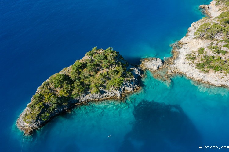 浊度单位 浊度单位