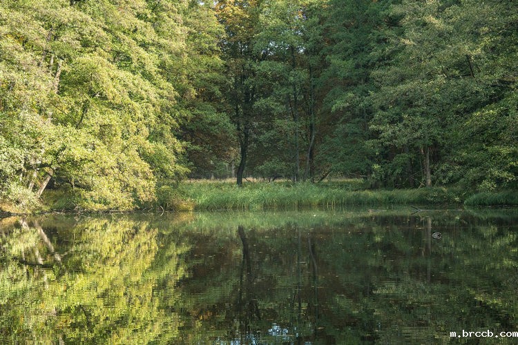 COD星空体育登录入口官网 COD星空体育登录入口官网