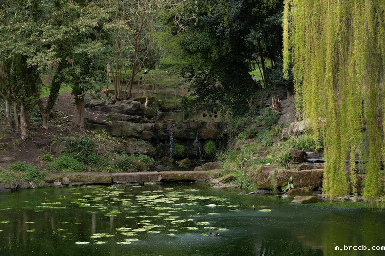 氨氮水质在线自动检测仪 氨氮水质在线自动检测仪