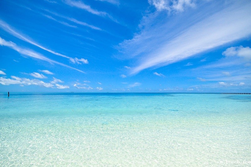 1678526480974749.jpg 102.jpg