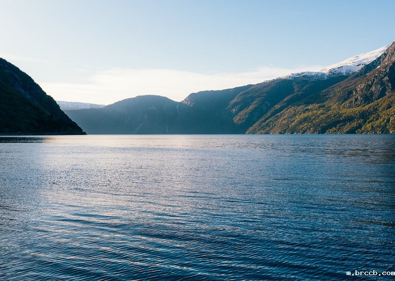 1678953854540105.jpg 114.jpg