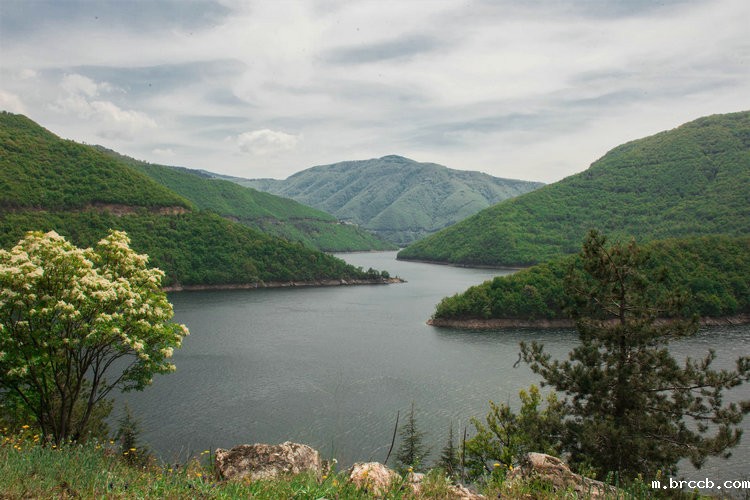 便携式cod氨氮测定仪 便携式cod氨氮测定仪