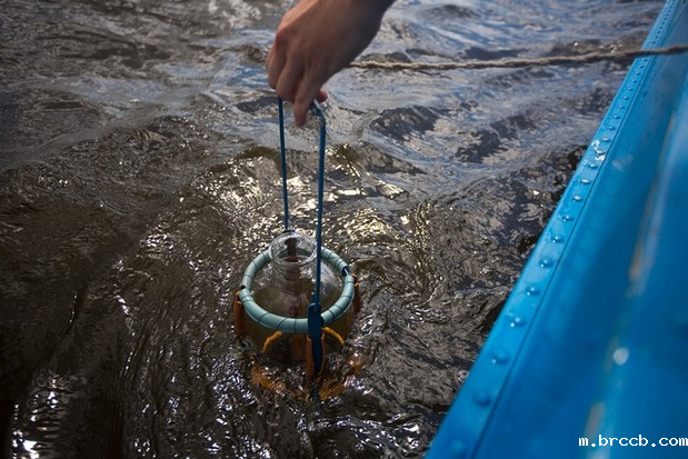 1681794962897757.png 202112071705210139.png