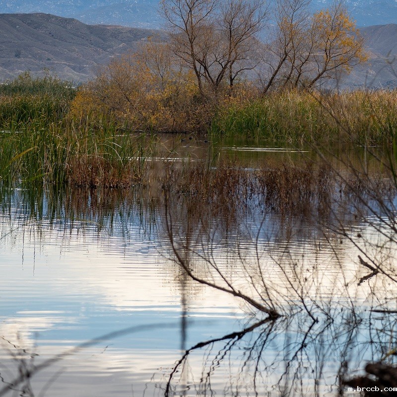 1682167849284779.jpg 54.jpg