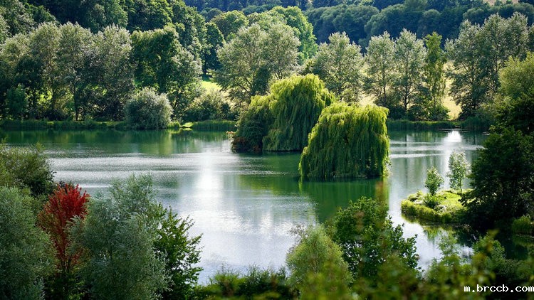 便携式浊度仪 便携式浊度仪