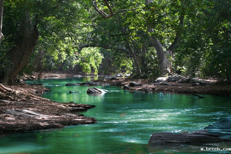 1684473827813953.jpeg 湖泊4.jpeg