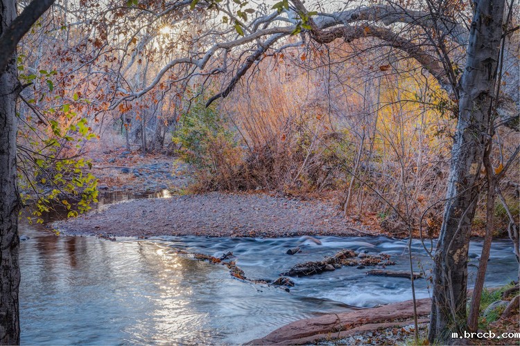 1686978694992040.jpeg 河流8.jpeg