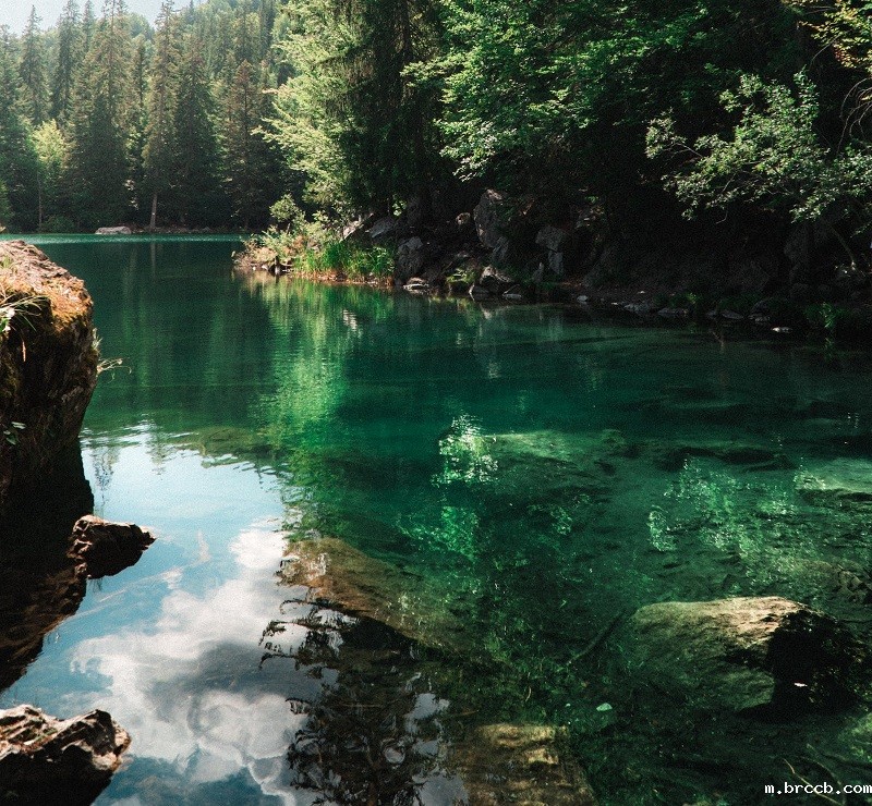 1687174156417663.jpg 62.jpg