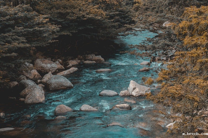 1688204706476883.jpg 53.jpg