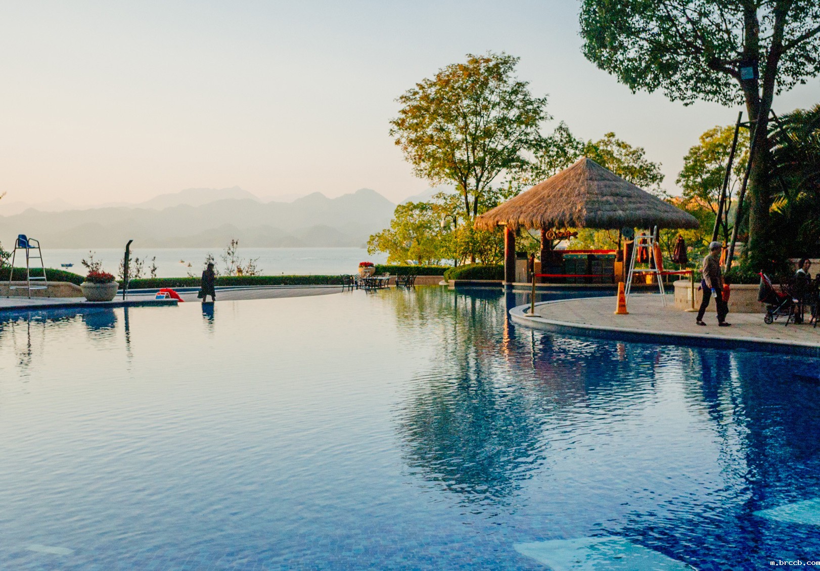 1689987543305530.jpg 1-191211095JC00.jpg