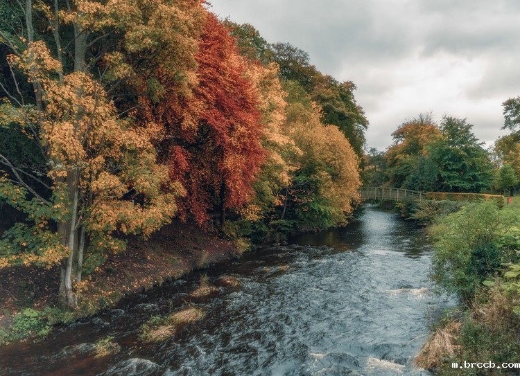 1690937608239886.jpeg 河流7.jpeg