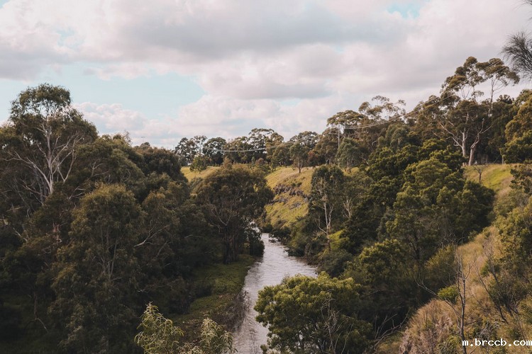 1693011605400061.jpeg 河流26.jpeg