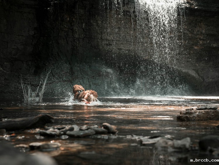 1693011707802101.jpeg 河流21.jpeg