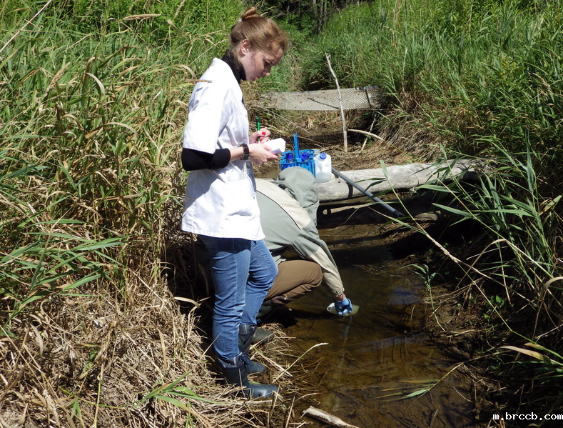 1694825932784751.png 202202141537196482.png