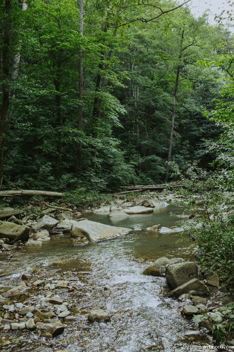 1695880413974555.jpeg 河流12.jpeg