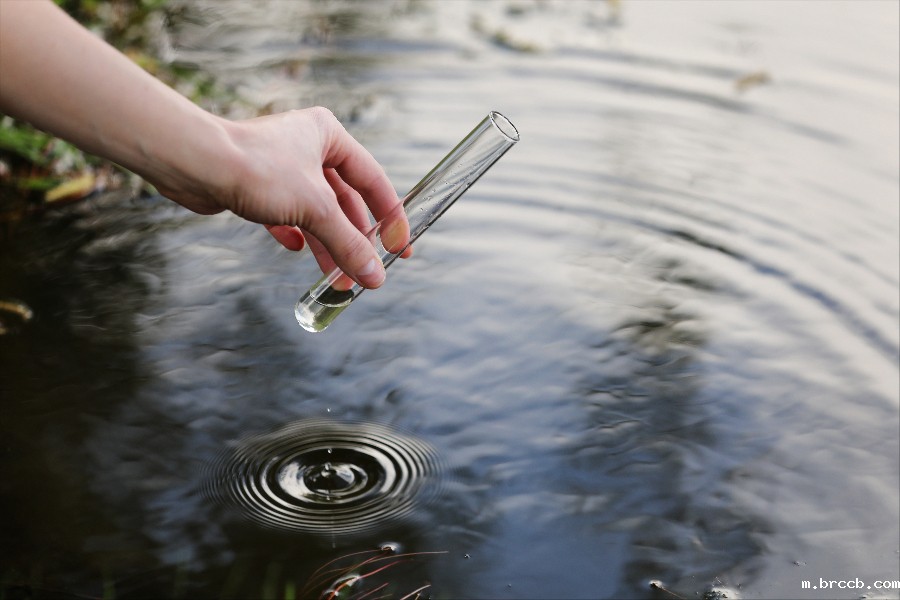 1697762378782589.jpg teto.jpg