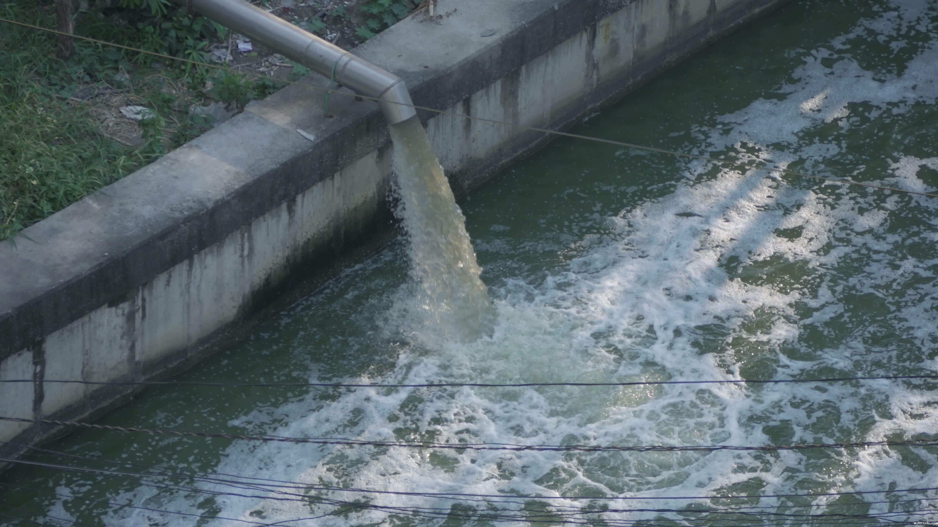 1698383725240119.jpg 1-210Q3152A0A6.jpg