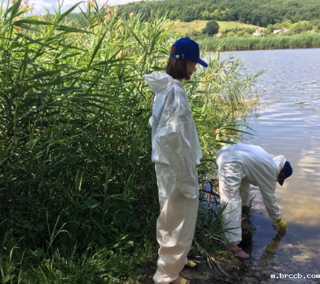 1726277114553422.png 202203081653020349.png