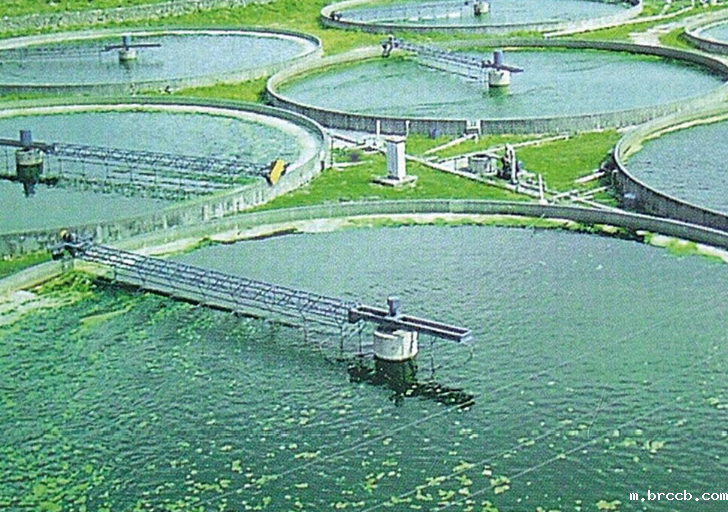 1731979078703554.png 202410151554003728.png