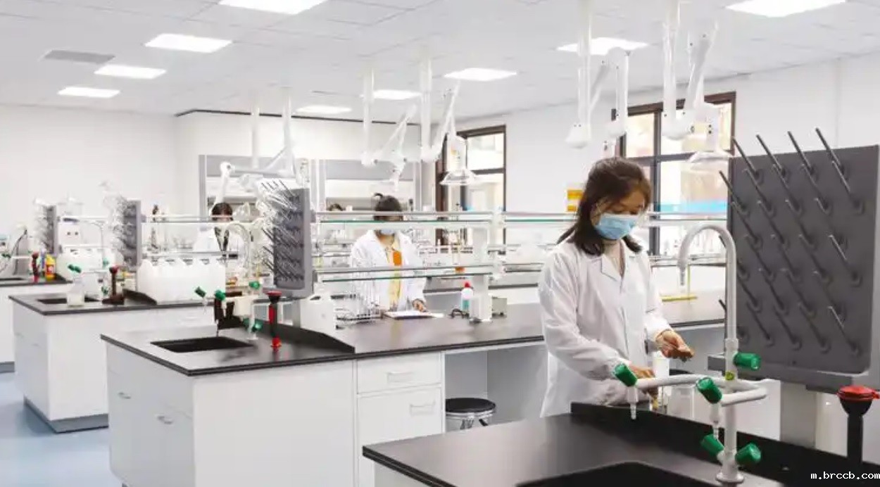 1733275537451731.jpg 333.jpg