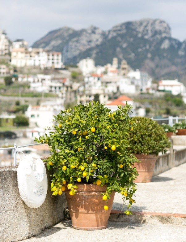 1735867233187031.jpg 1.jpg