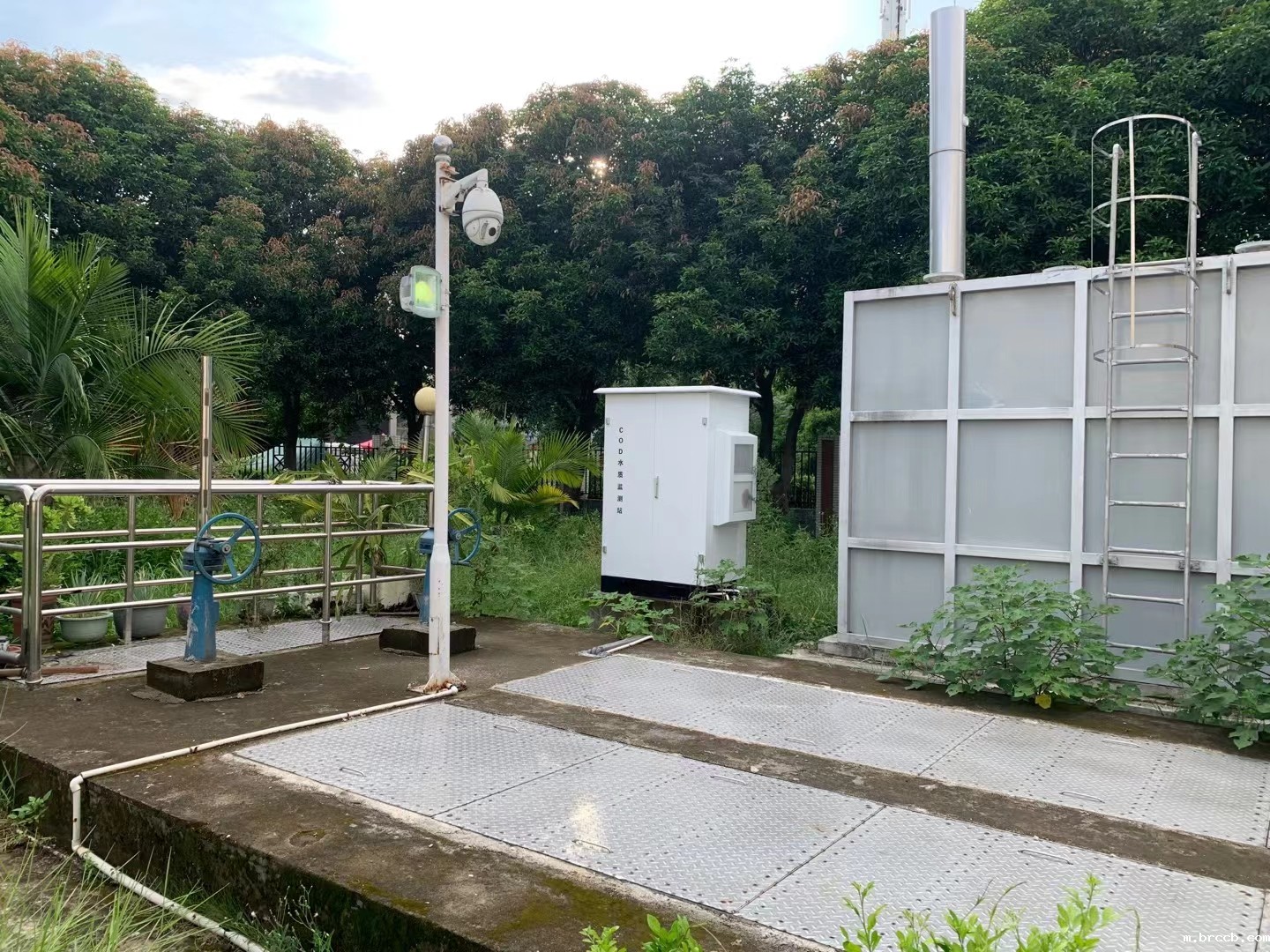 1739239231575627.jpg 29.jpg