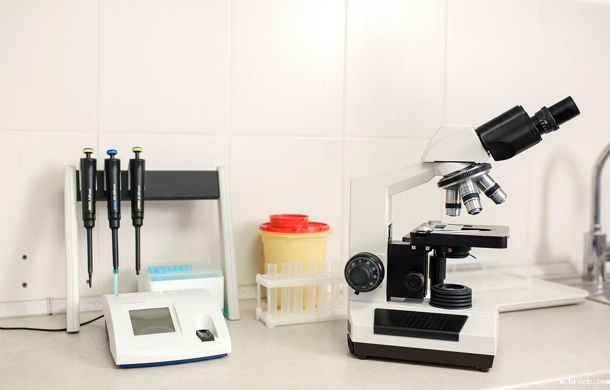 1740116111858525.jpg 18.jpg