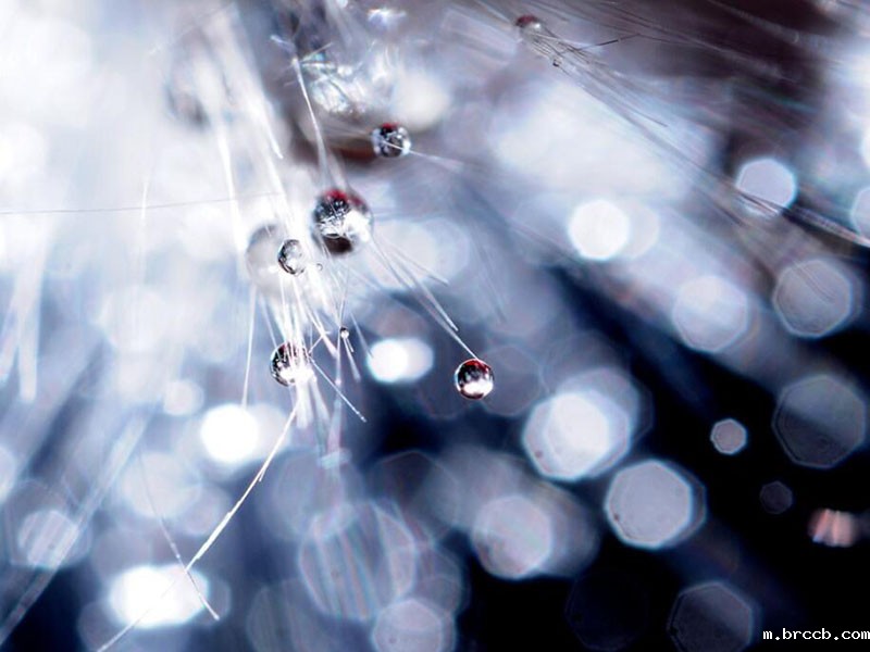 饮用水水质检测仪.jpg 纯净水水质检测仪