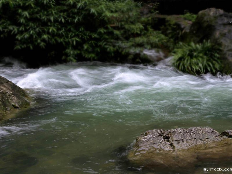 电导率检测仪的重要性与应用场景.jpg 锅炉水氢电导率检测仪