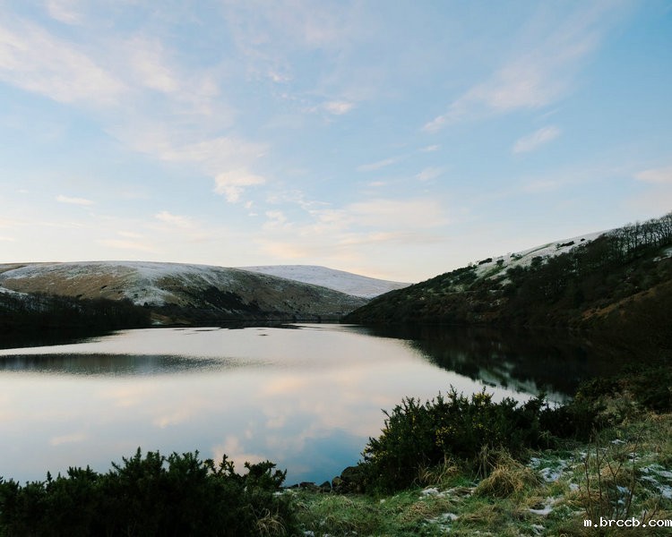氨氮在线监测分析仪