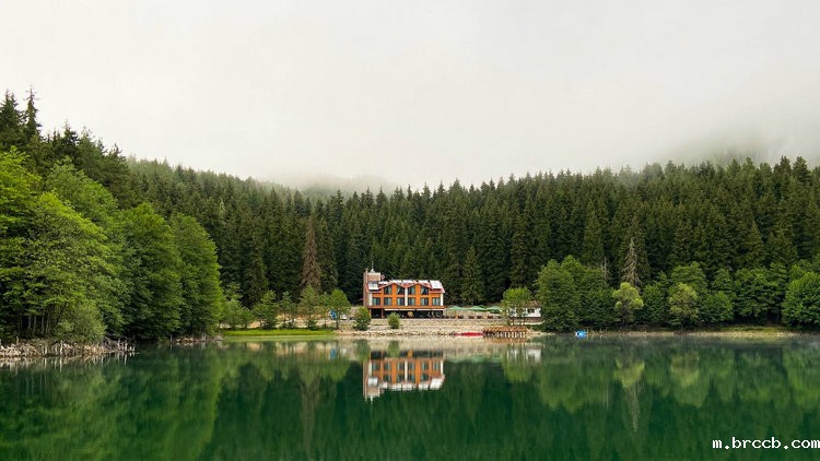 TP总磷在线自动分析仪