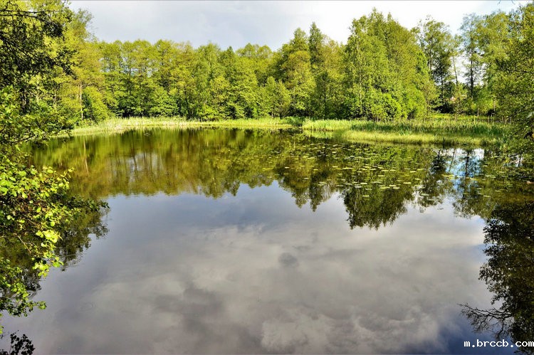 水中星空娱乐苹果app官网下载